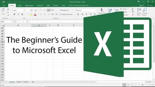 The Beginner's Guide to Excel