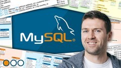 SQL for Data Analysis: Beginner MySQL Business Intelligence
